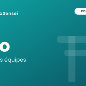 InfraSensei Pro (annuel)